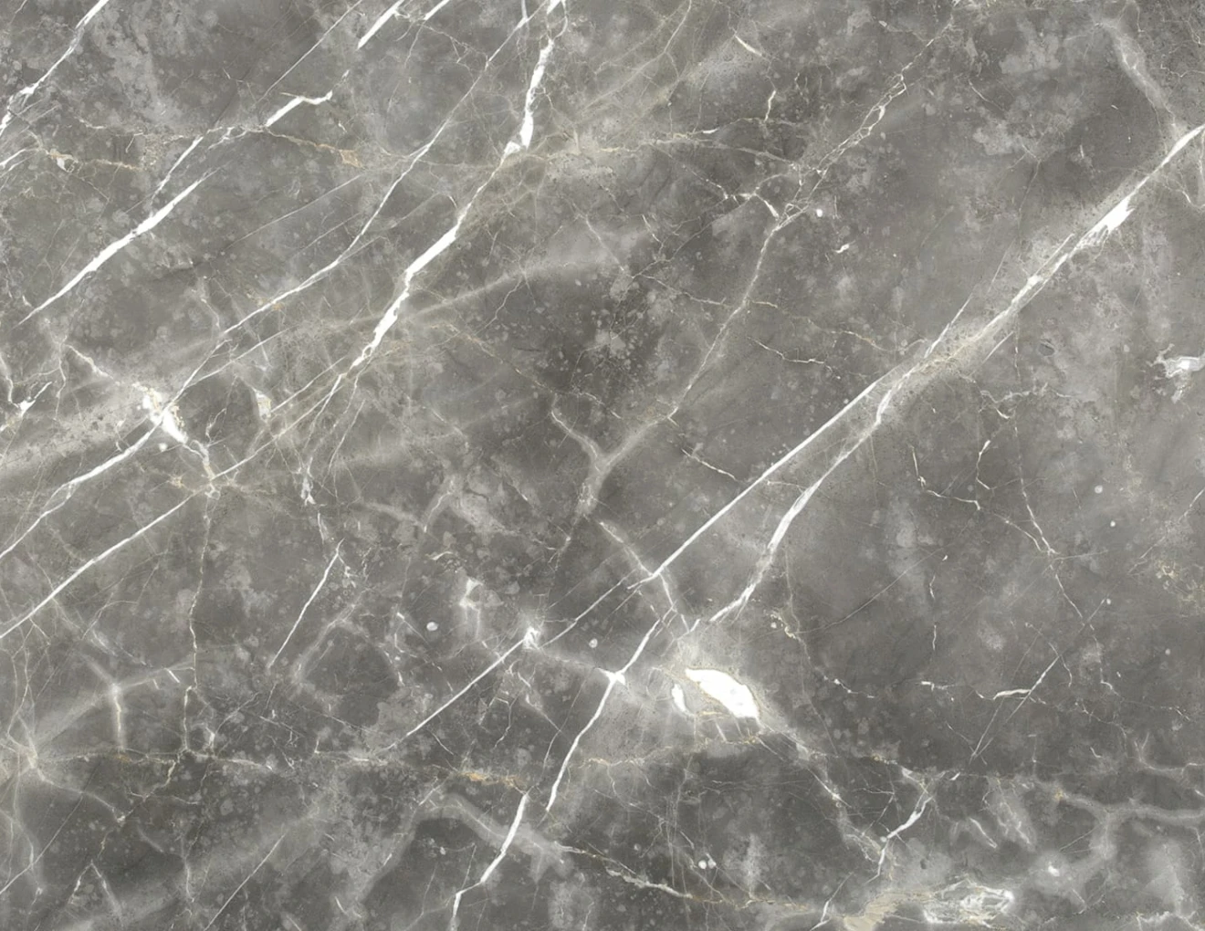 Marmor grigio collemandina