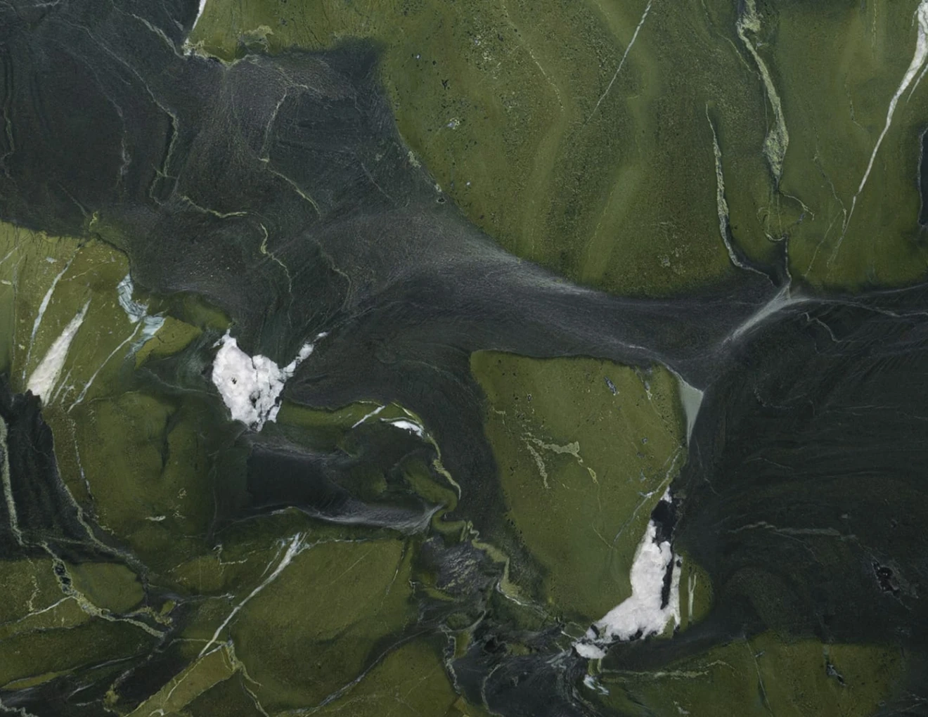 Quartzite avocatus leather