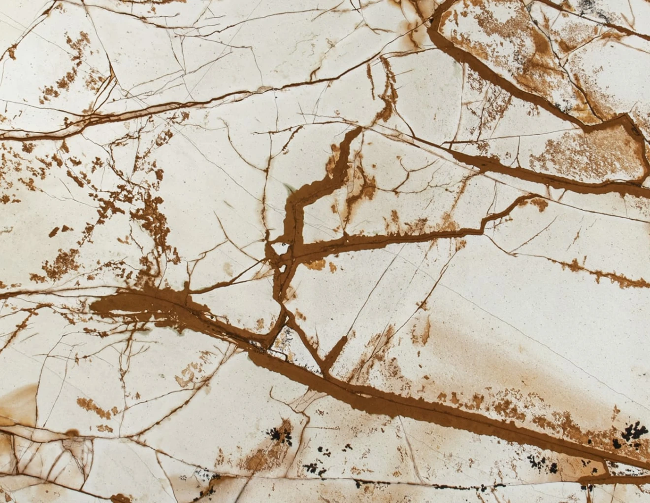 Quartzite Breccia Romana