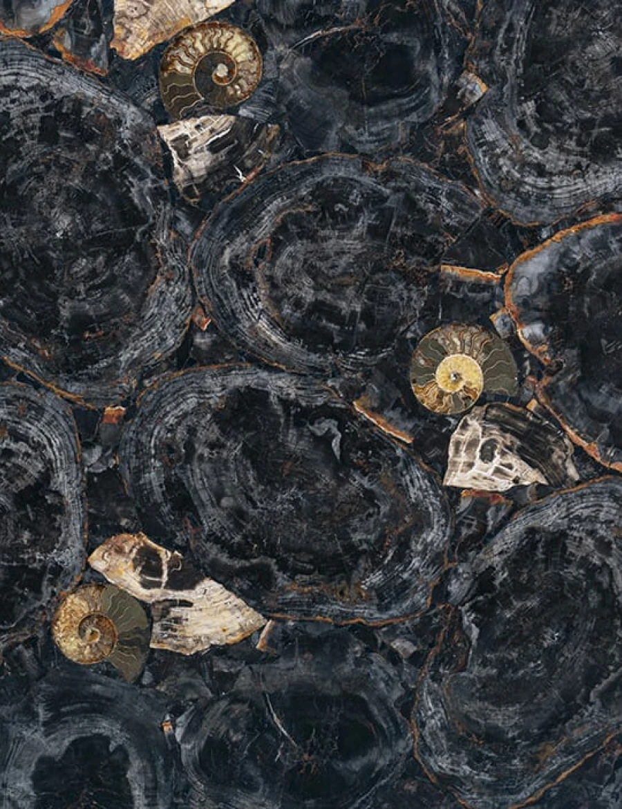 Semiprecious black petrified wood