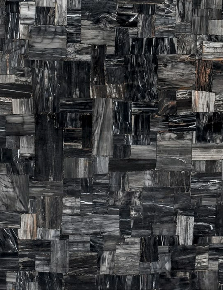 Semipreziosi PETRIFIED WOOD BLACK JURASSIC