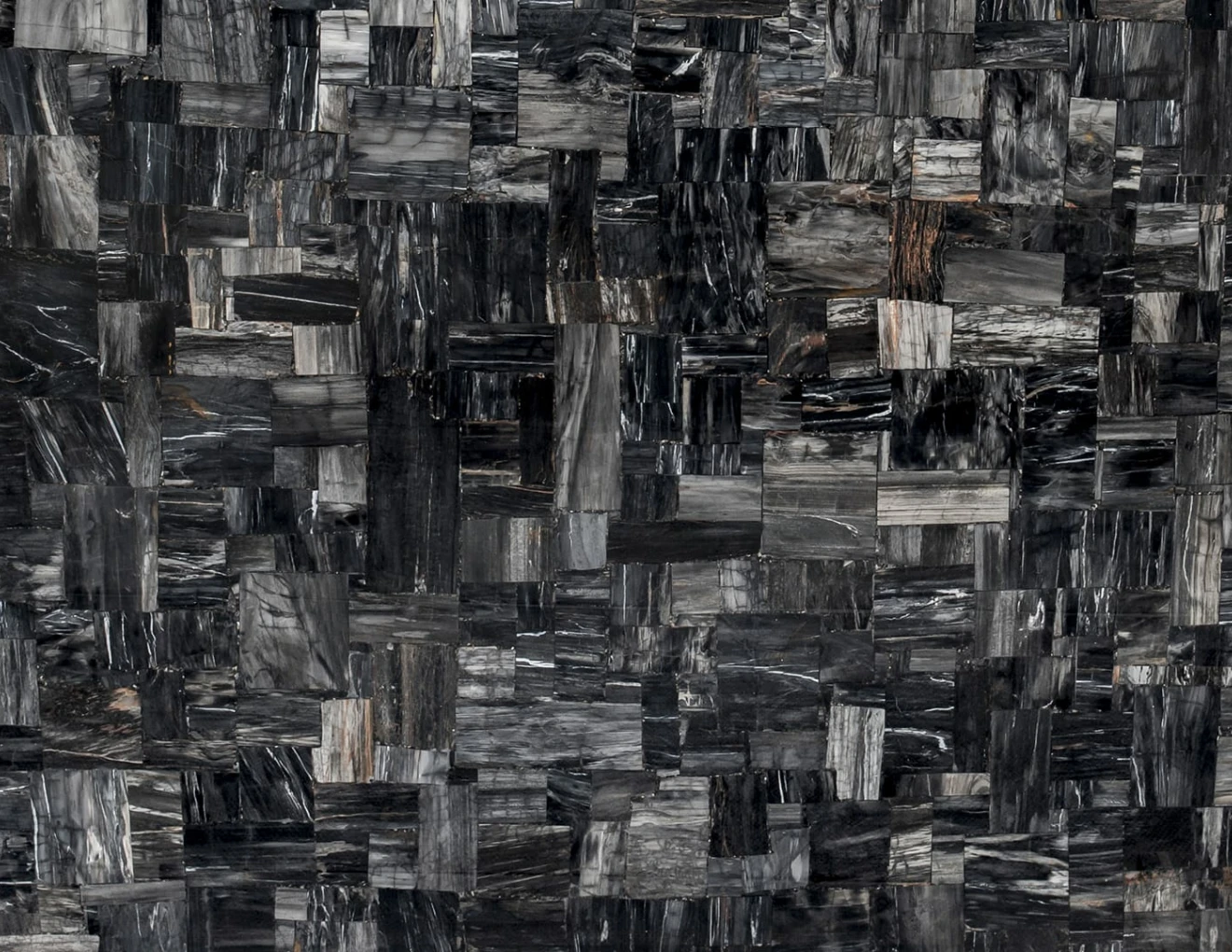 Semiprecious PETRIFIED WOOD BLACK JURASSIC