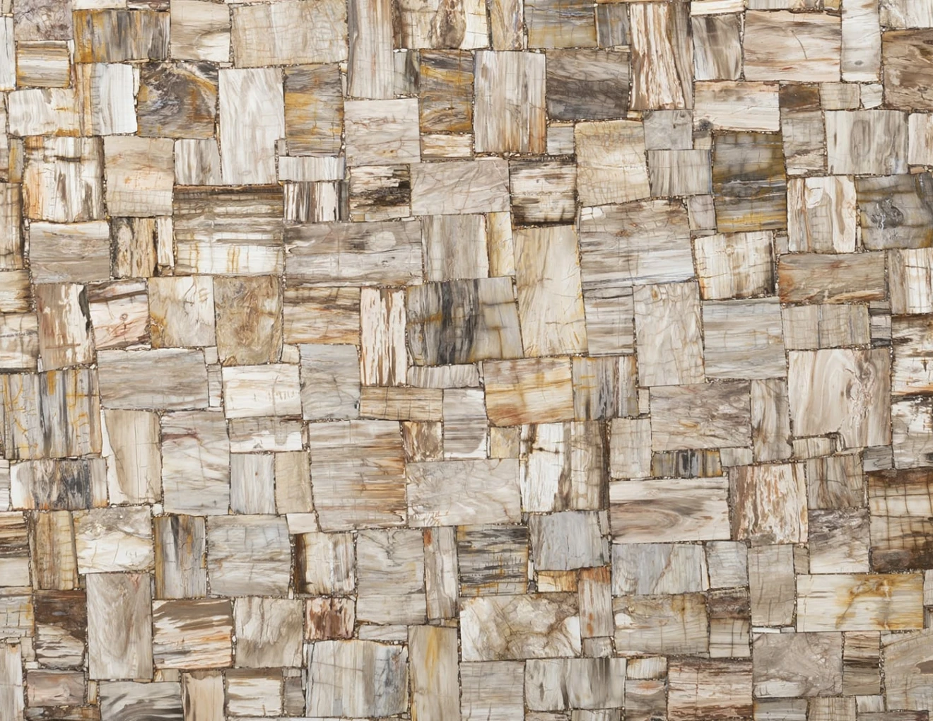 Semipreziosi PETRIFIED WOOD IVORY JURASSIC
