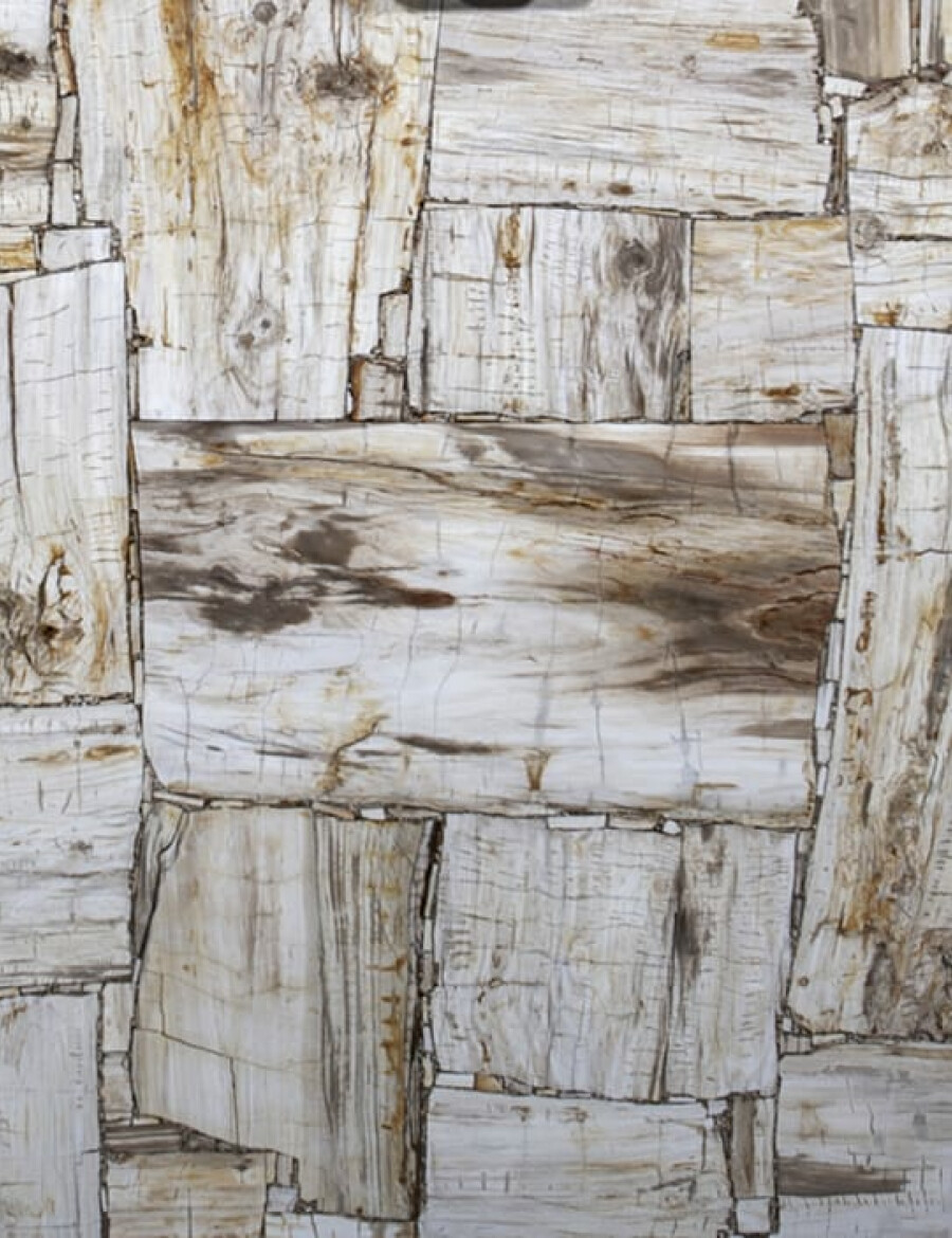 PETRIFIED WOOD IVORY RETRÒ