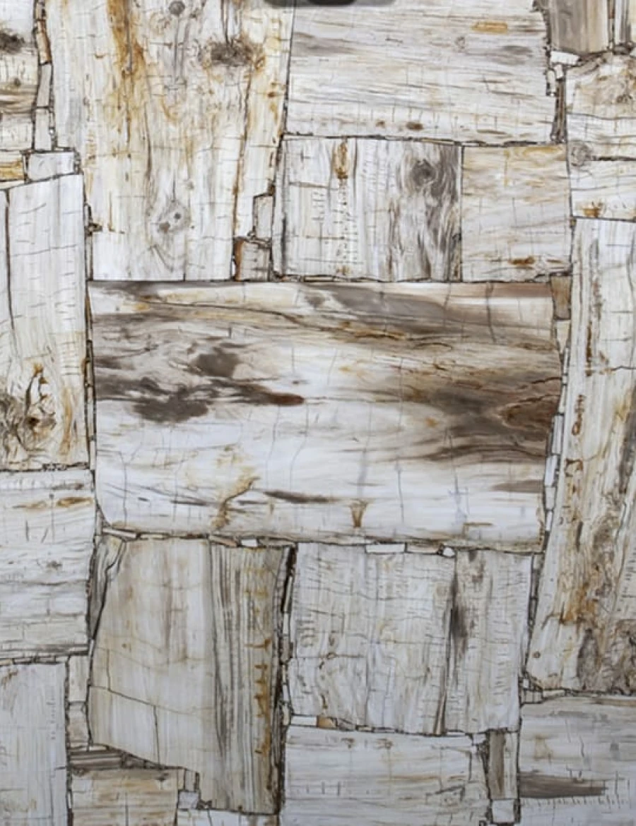 Semipreziosi PETRIFIED WOOD IVORY RETRÒ