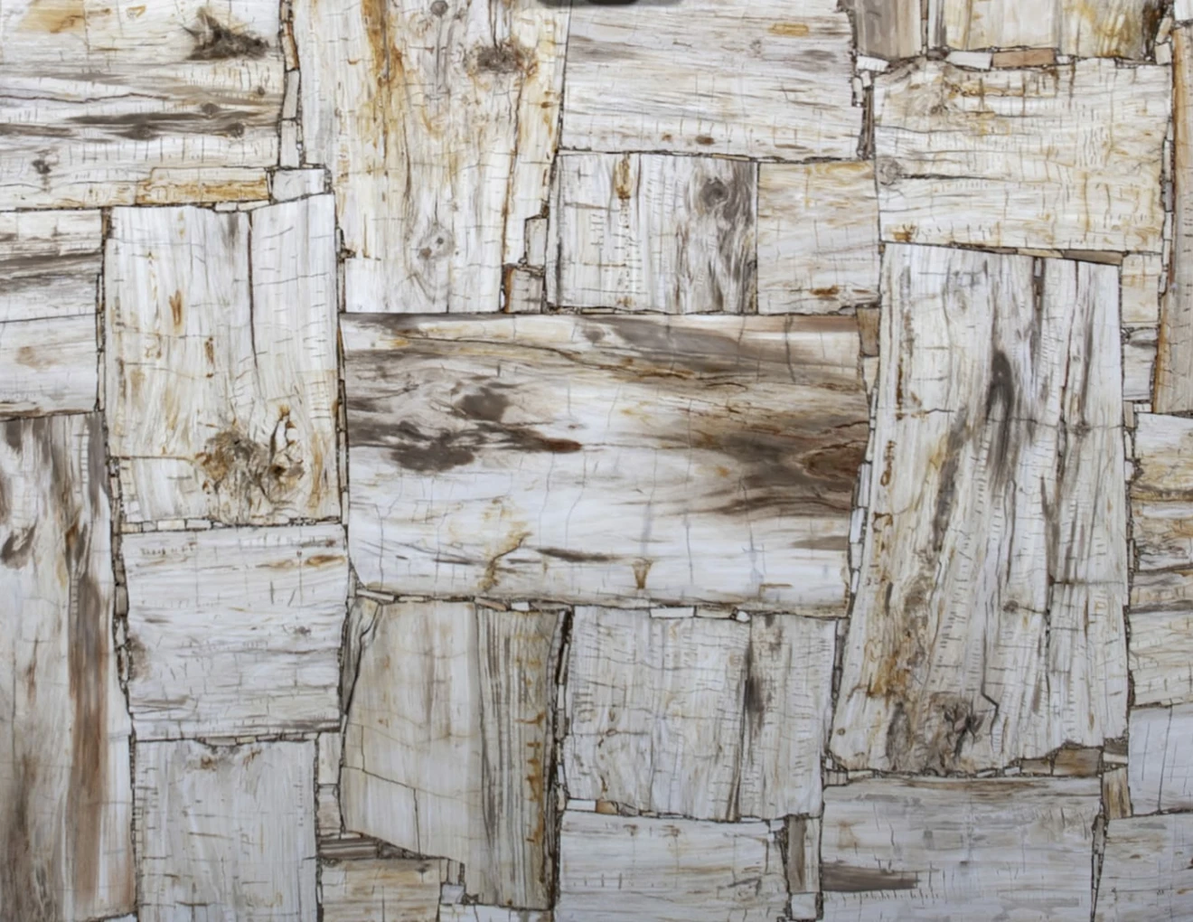 Halbedelsteinen PETRIFIED WOOD IVORY RETRÒ