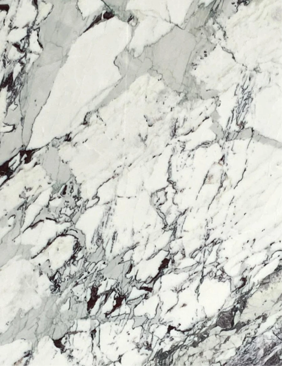 Marbles breccia capraia