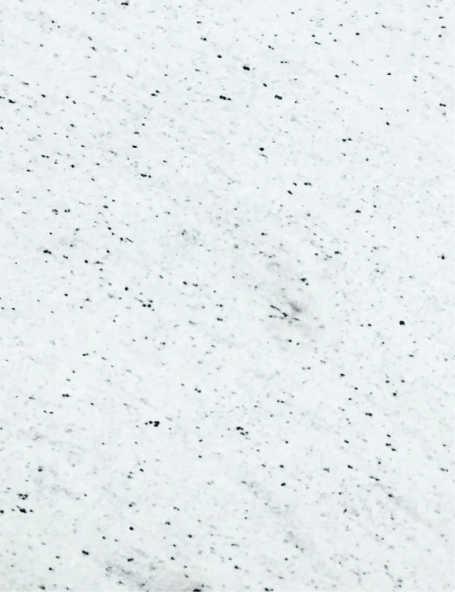Granites extreme white