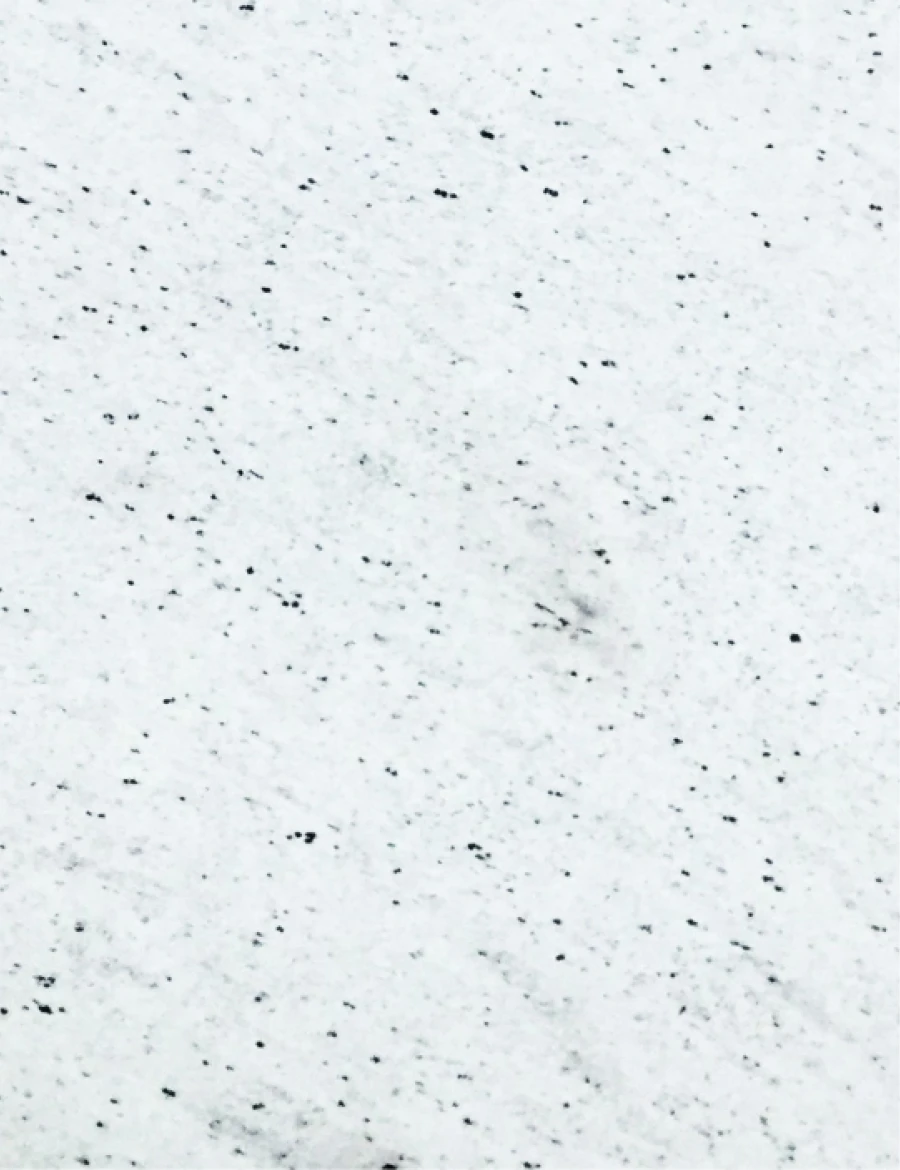 Granit extreme white