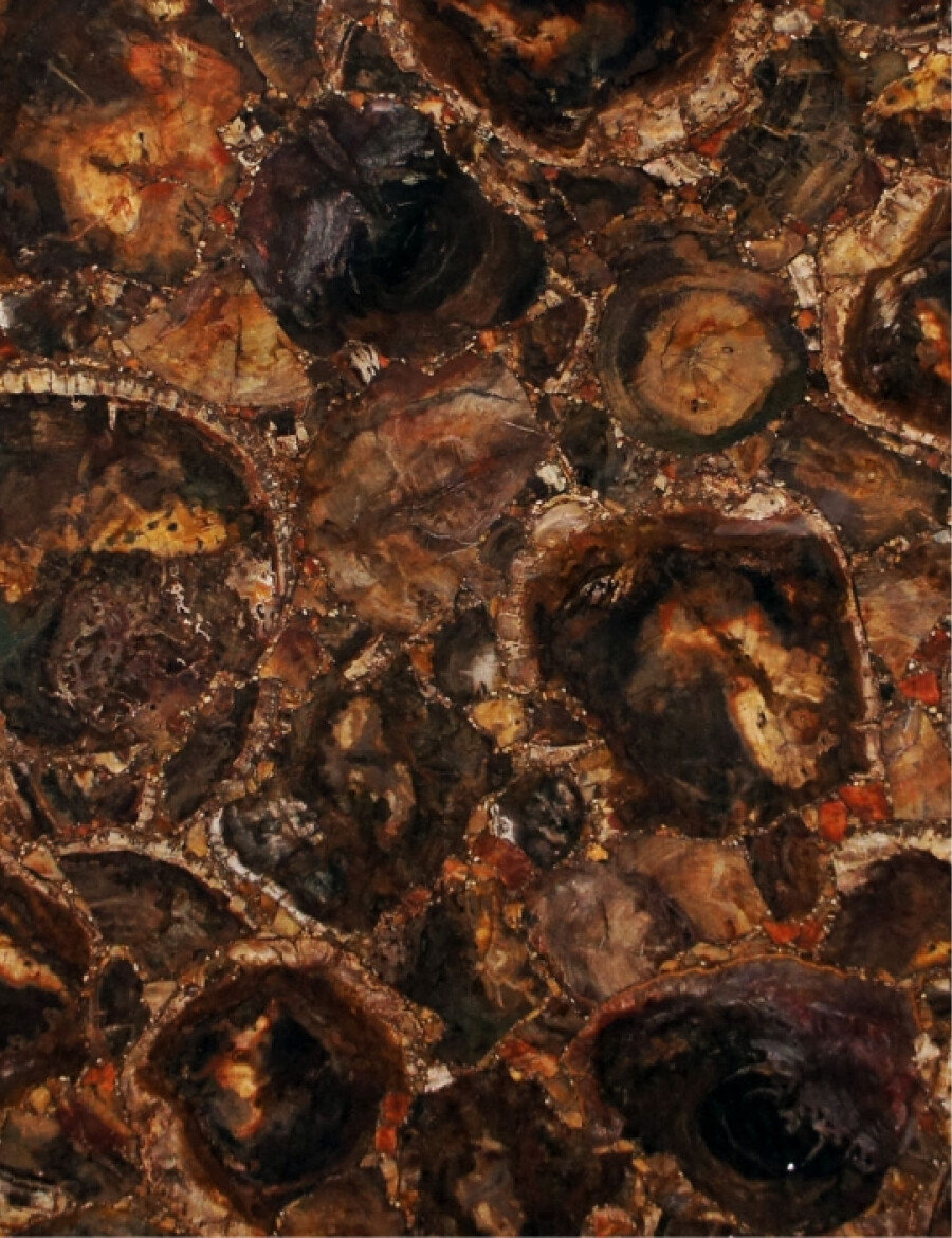 petrified wood brown