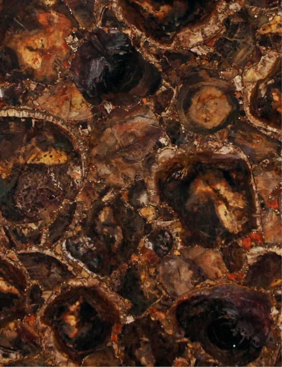Semipreziosi petrified wood brown