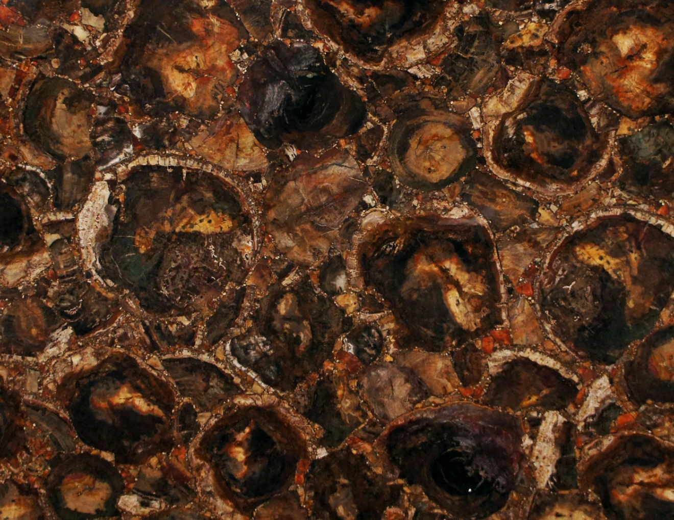 Semiprecious petrified wood brown